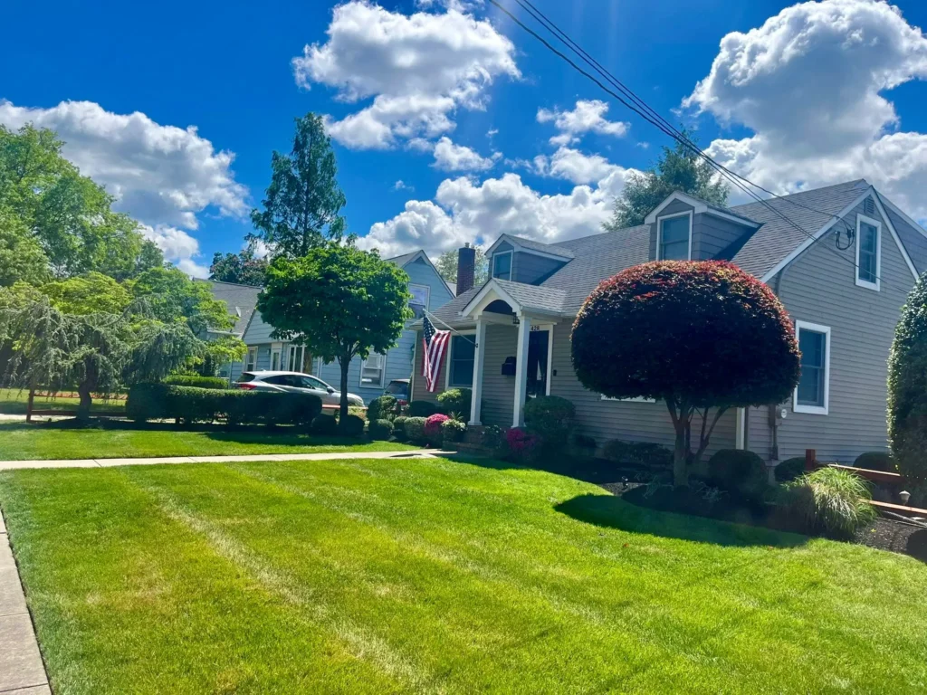 Best Lawn Cutting and Maintenance in South Jersey