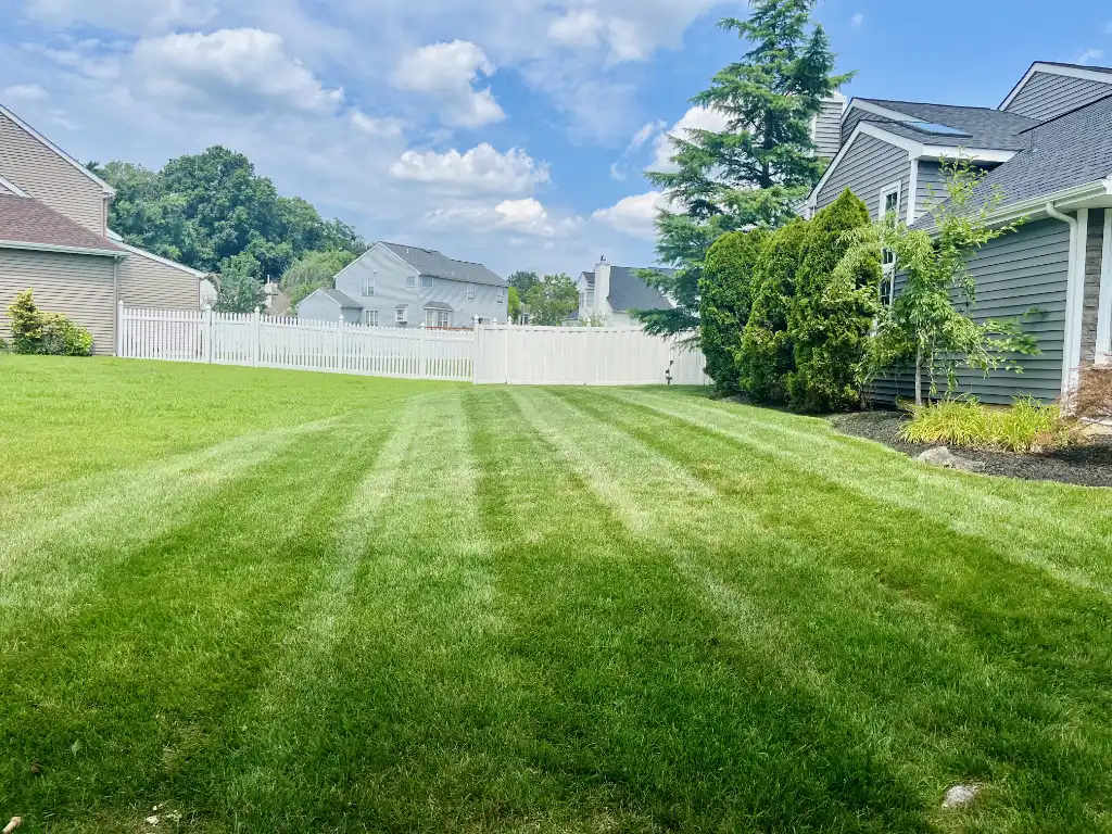 professional lawn care in nj