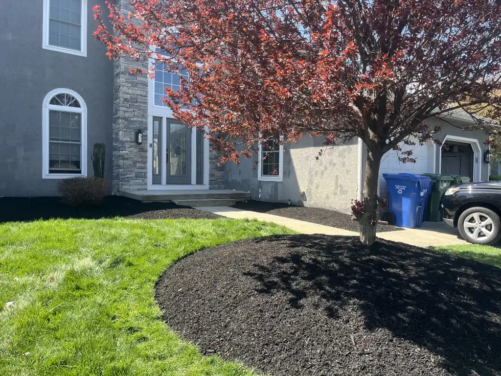 Affordable Ways to Boost Curb Appeal in South Jersey