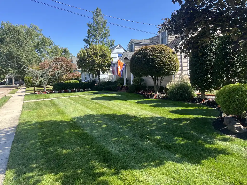 How to Prepare Your Yard for Spring in South Jersey